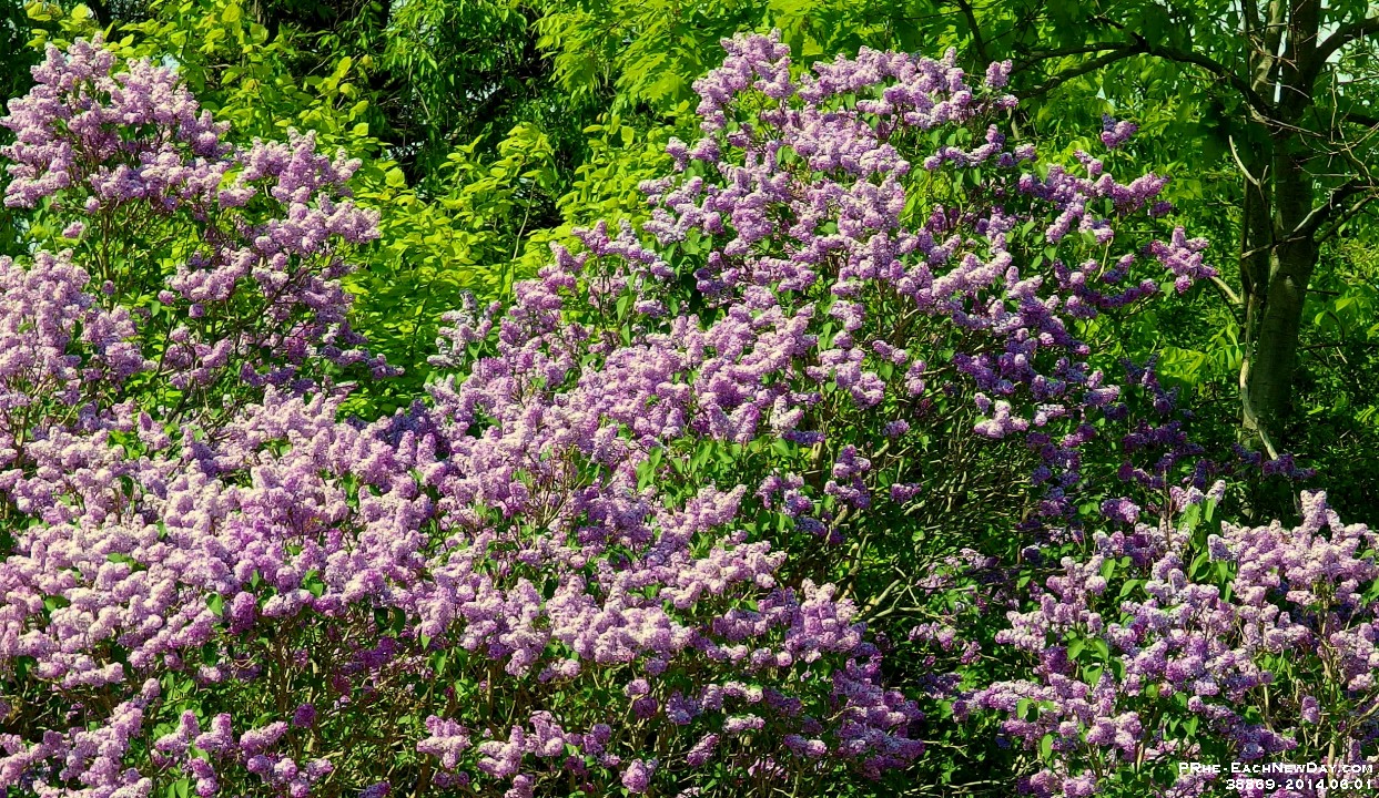 38869CrLe2 - Biking with Beth along the Waterfront Trail, from Petticoat Creek